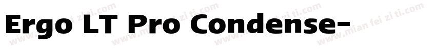 Ergo LT Pro Condense字体转换